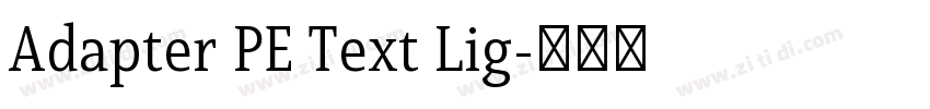 Adapter PE Text Lig字体转换